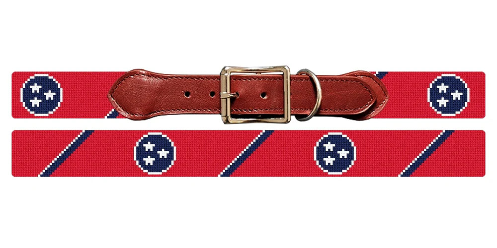 Dog collar with red background and blue star pattern, featuring a brown leather buckle.